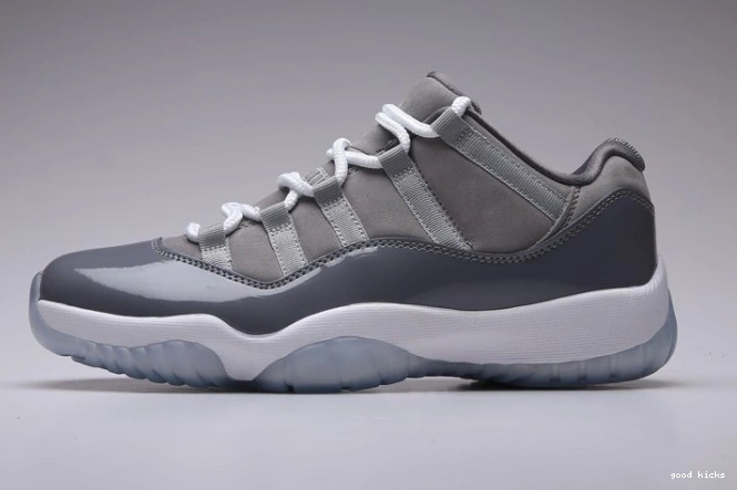 Cool Grey Jordan 528895-003 Low Air 11 0725